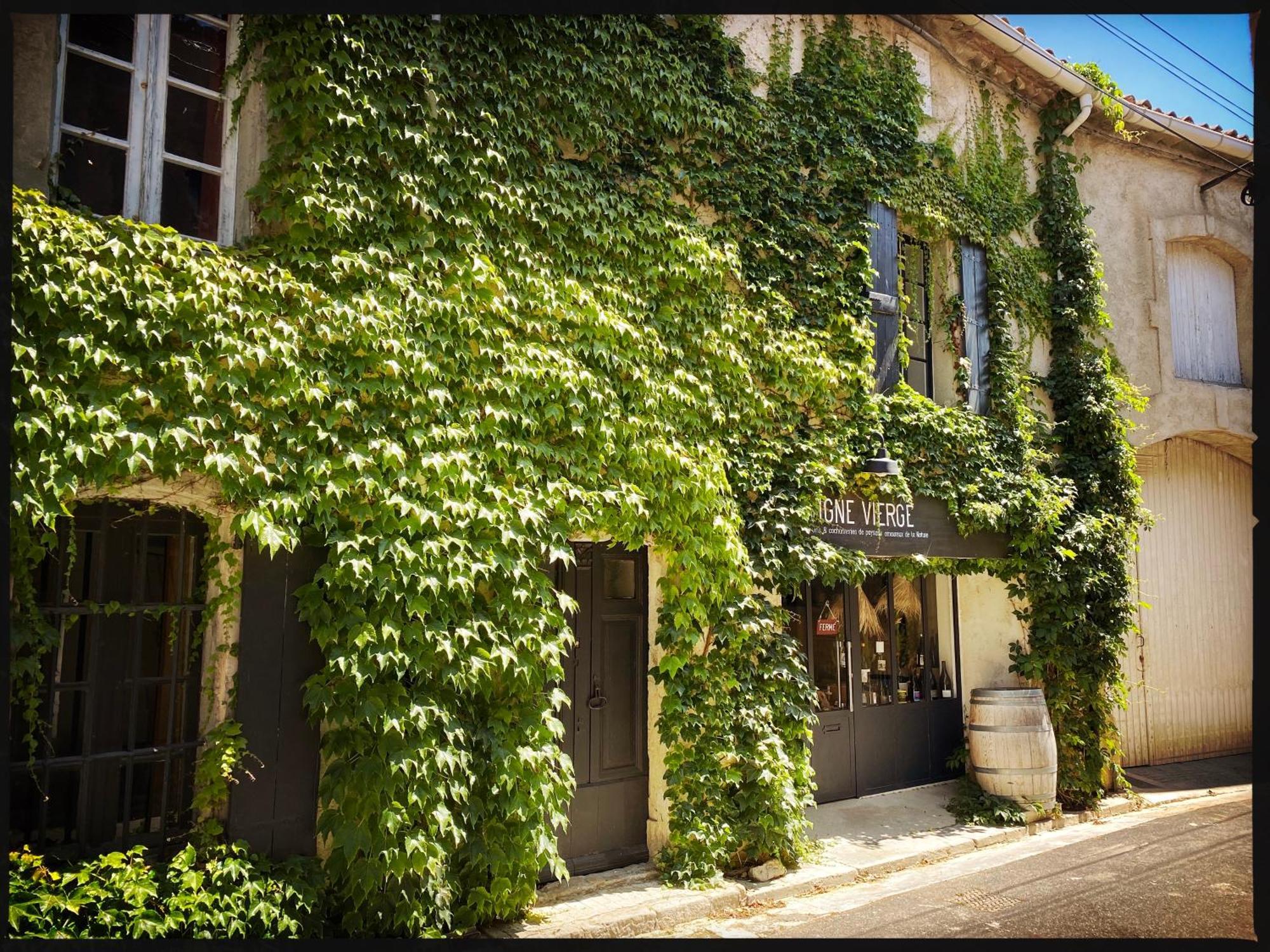 B&B Vigne Vierge Aigne  Exteriér fotografie
